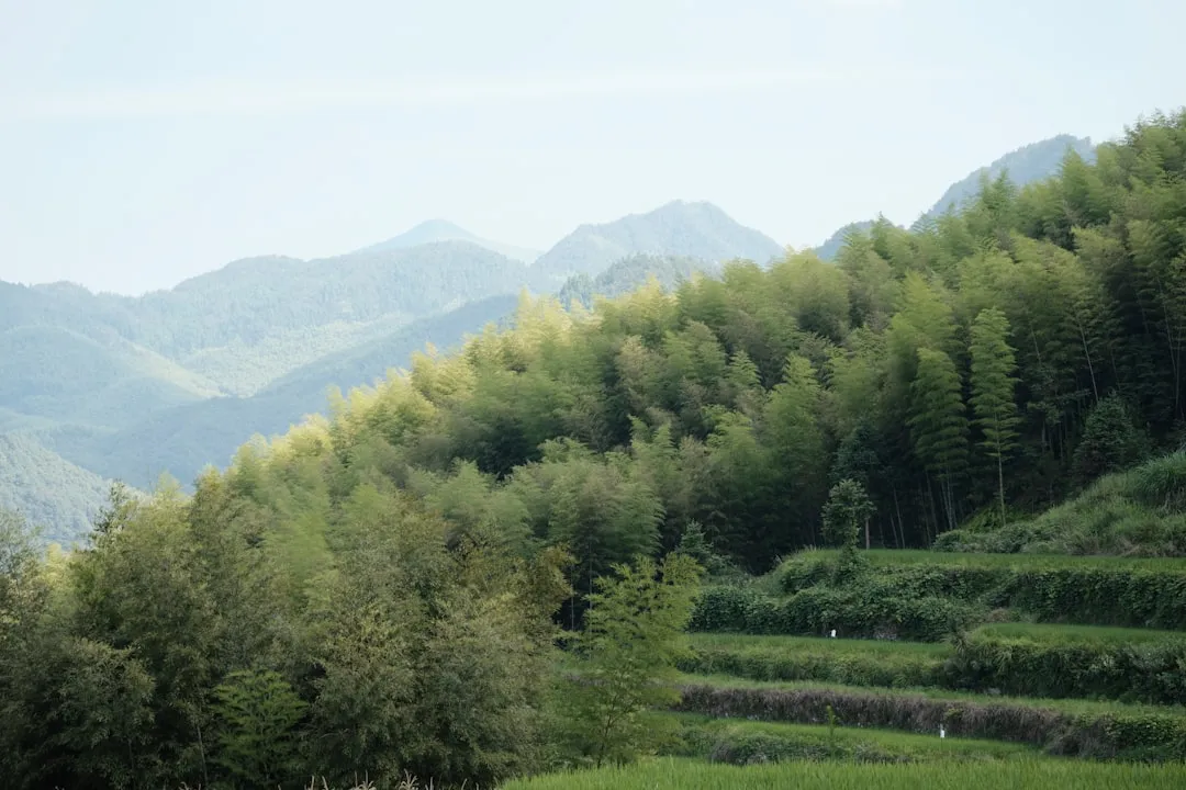 重庆地区光伏发电设备维护周期与常见故障处理指南